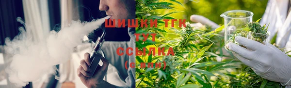 бошки Елизово