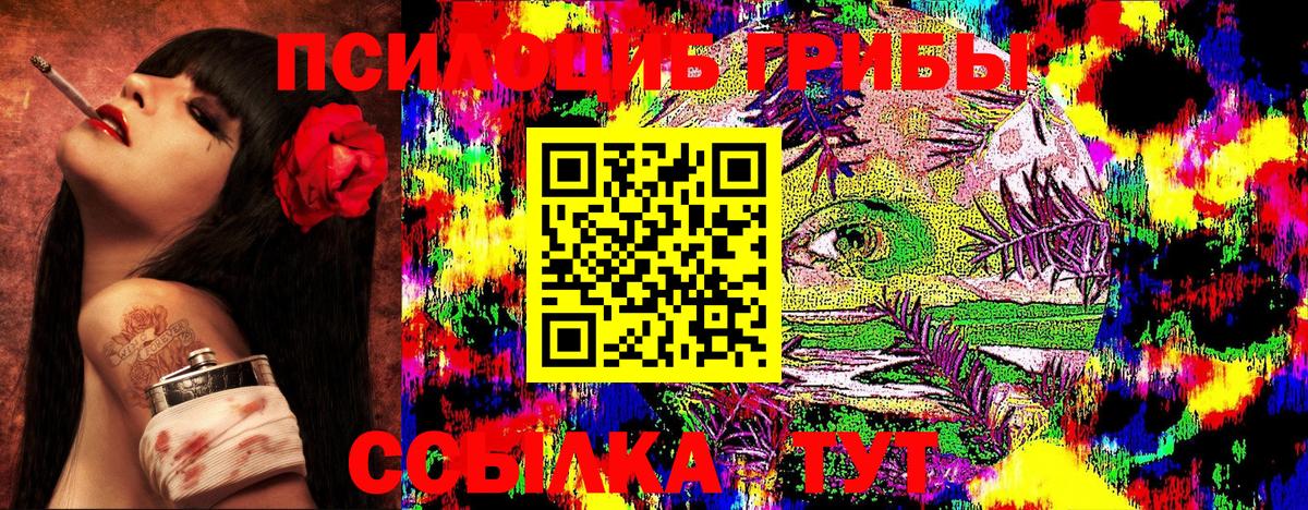 где продают наркотики  Псилоцибиновые грибы прущие грибы  Вход с VPN  Славянск-на-Кубани 