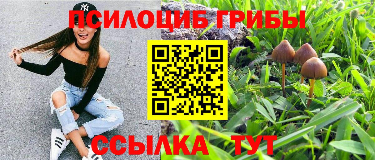 Псилоцибиновые грибы Psilocybine cubensis Славянск-на-Кубани