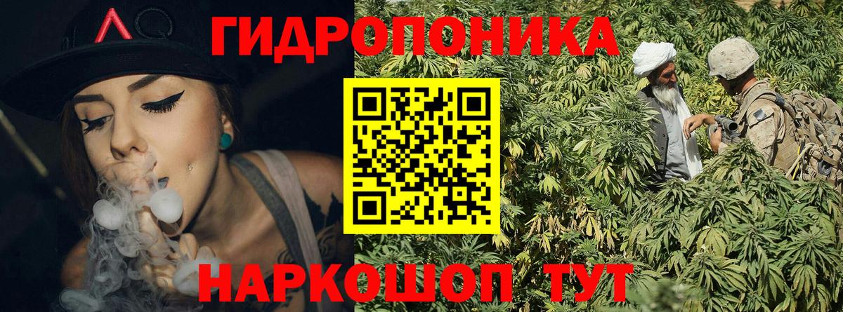Бошки Шишки сатива  Каннабис OG Kush  Славянск-на-Кубани  Канабис OG Kush  Вход с VPN 